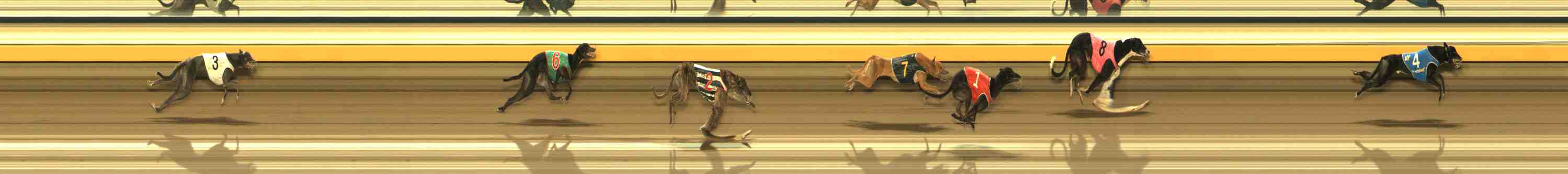 Photo finish for Warrnambool Race 7