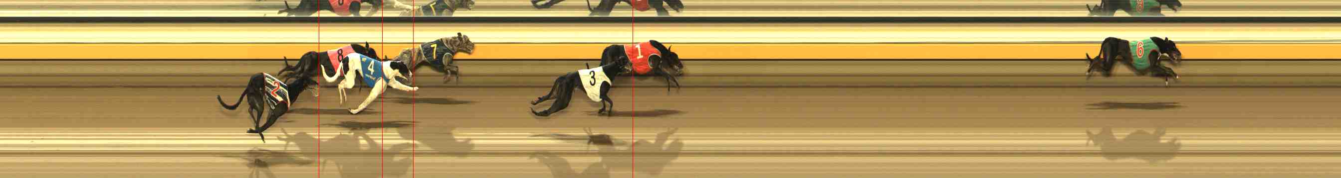 Photo finish for Warrnambool Race 9