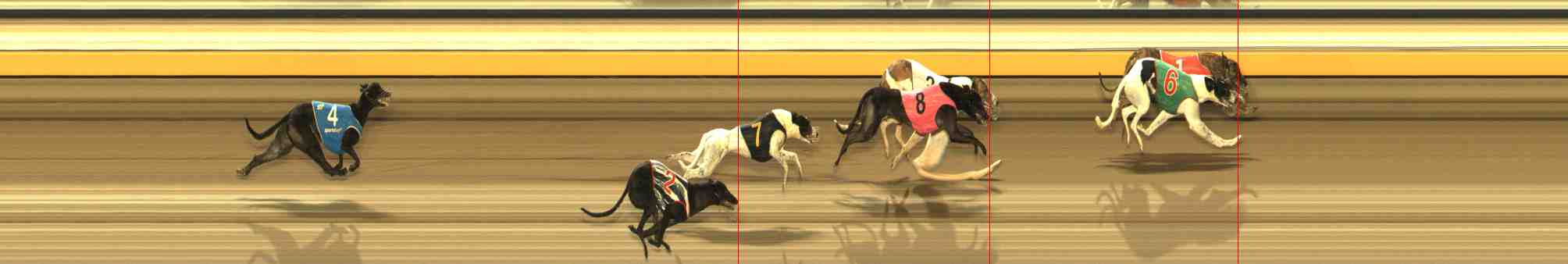 Photo finish for Warrnambool Race 10