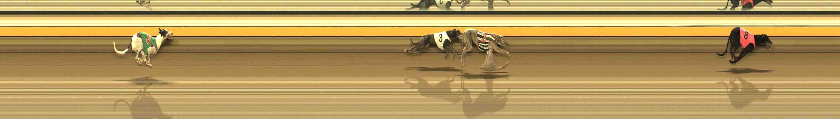 Photo finish for Warrnambool Race 11