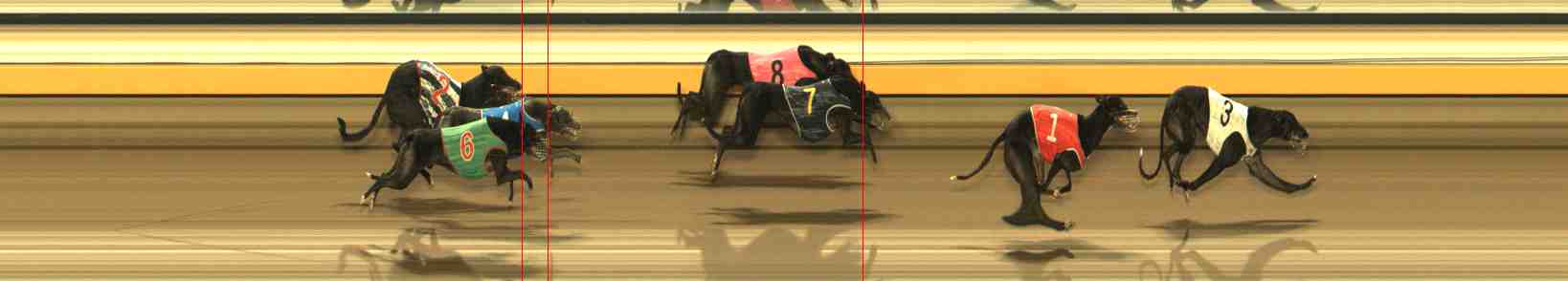 Photo finish for Warrnambool Race 12