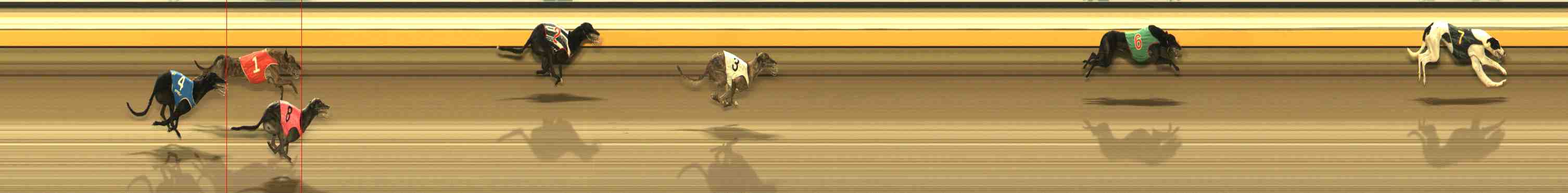Photo finish for Warrnambool Race 13