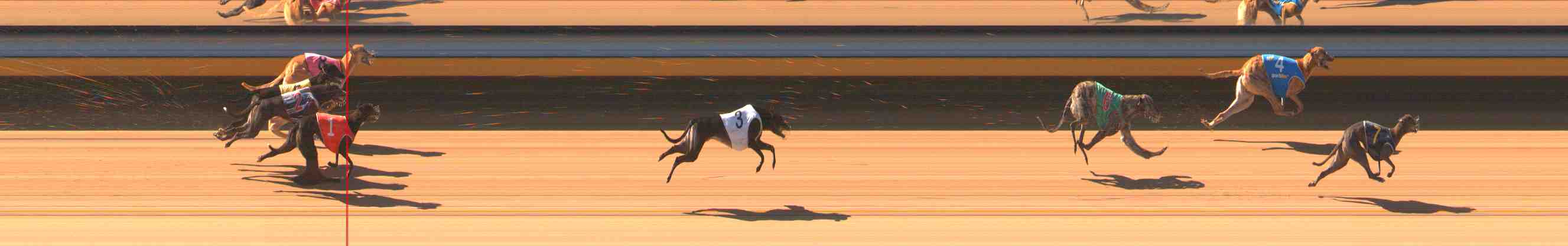 Photo finish for Warrnambool Race 1