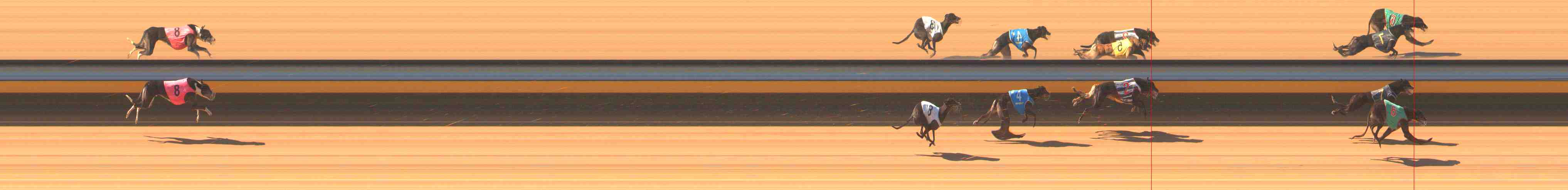 Photo finish for Warrnambool Race 2