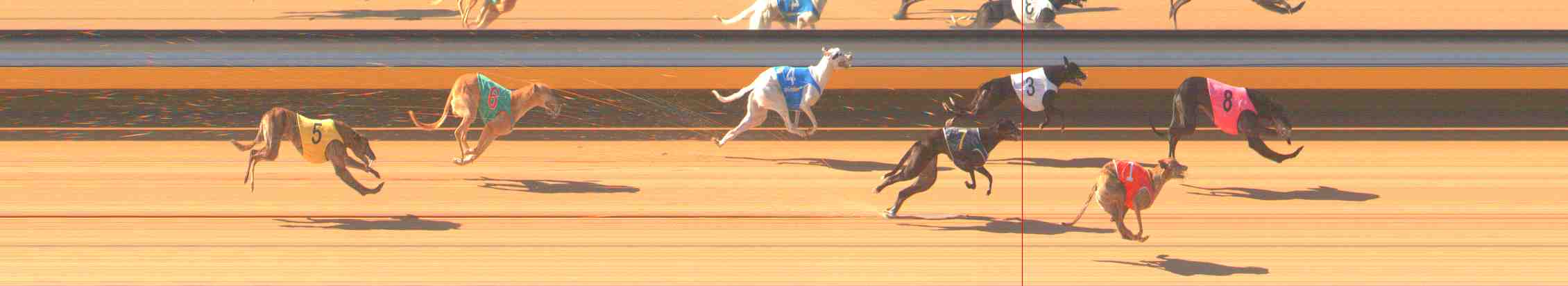 Photo finish for Warrnambool Race 3