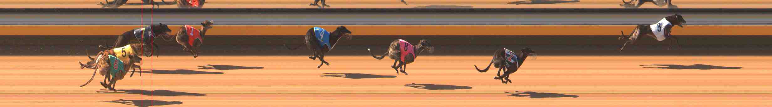 Photo finish for Warrnambool Race 4