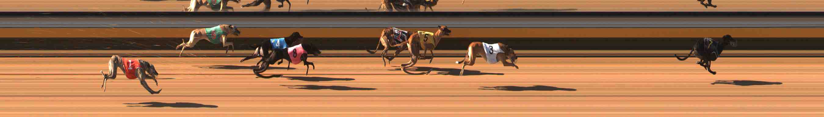 Photo finish for Warrnambool Race 5