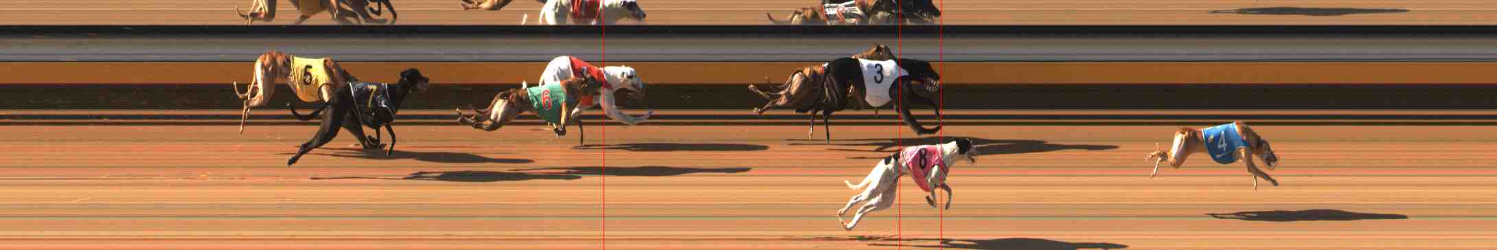 Photo finish for Warrnambool Race 6