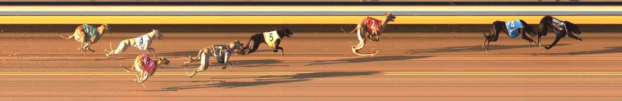 Photo finish for Warrnambool Race 9