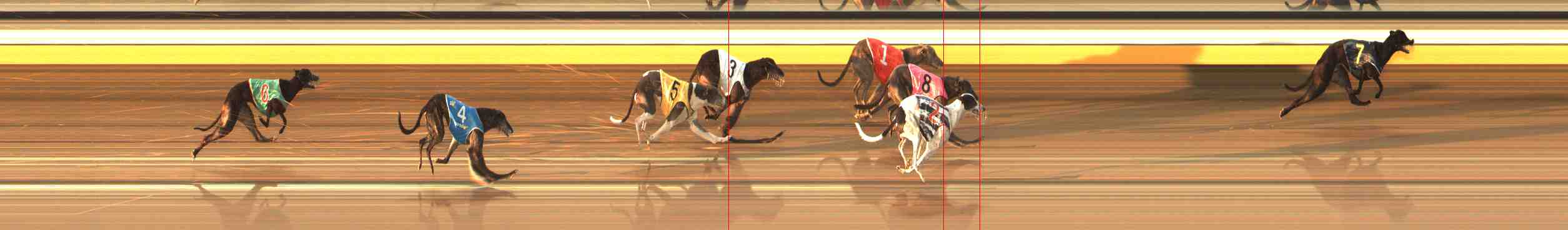 Photo finish for Warrnambool Race 10