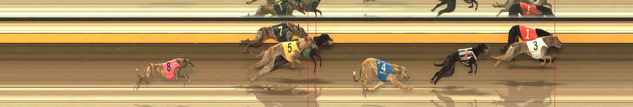Photo finish for Warrnambool Race 11