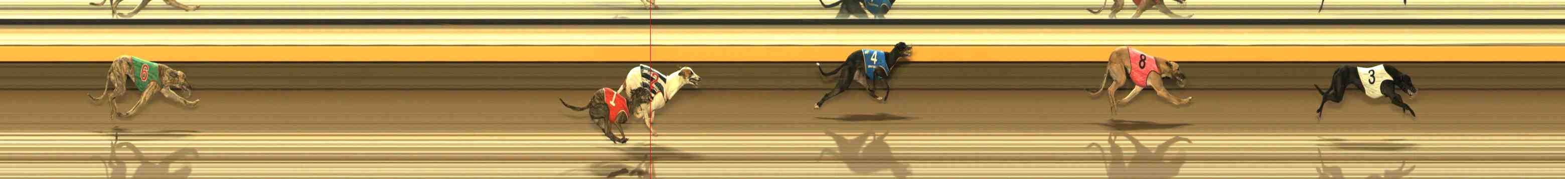Photo finish for Warrnambool Race 12
