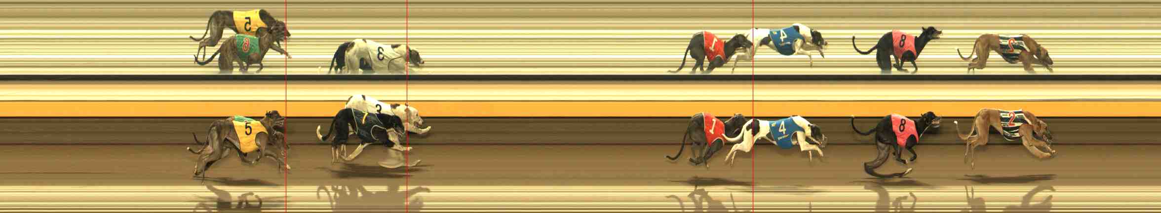 Photo finish for Warrnambool Race 13