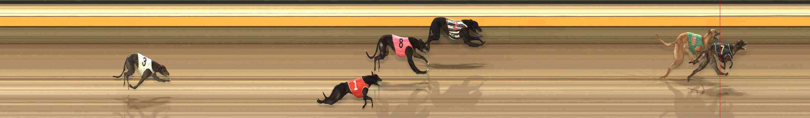 Photo finish for Warrnambool Race 1