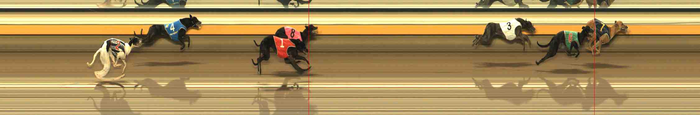 Photo finish for Warrnambool Race 2