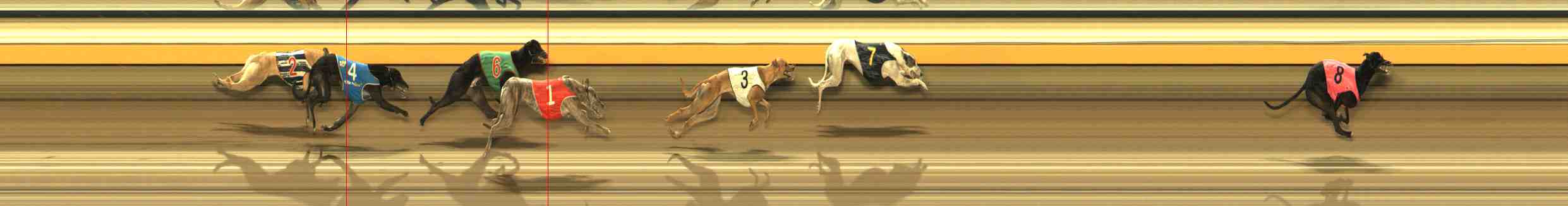 Photo finish for Warrnambool Race 3