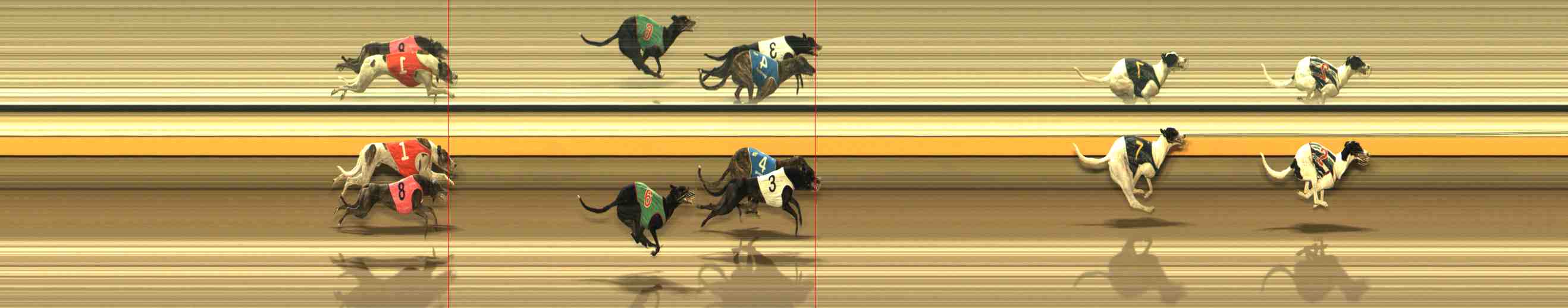 Photo finish for Warrnambool Race 4