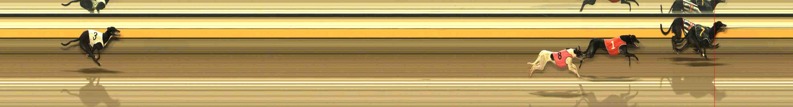 Photo finish for Warrnambool Race 5