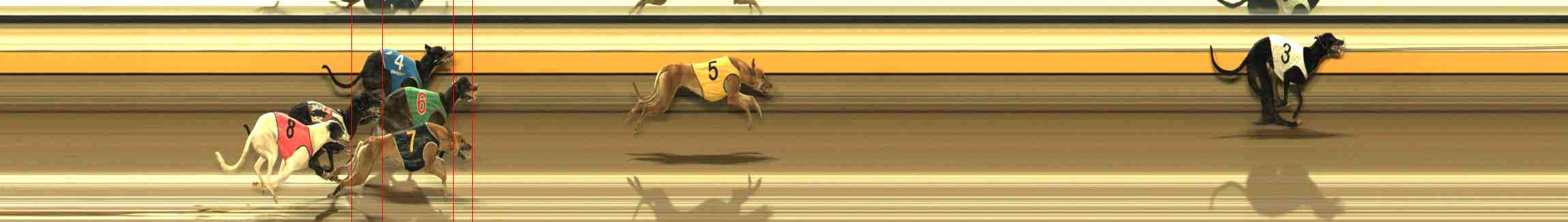 Photo finish for Warrnambool Race 6