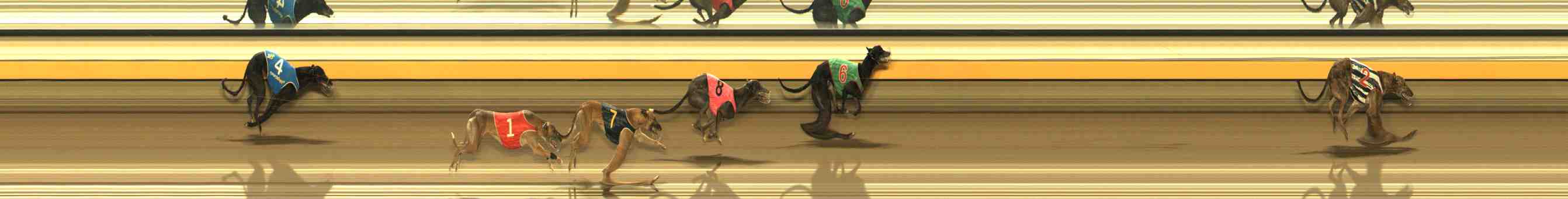 Photo finish for Warrnambool Race 7