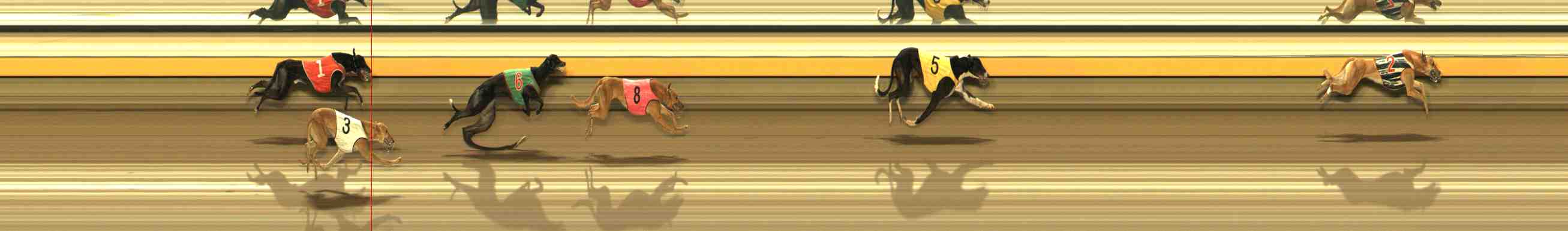 Photo finish for Warrnambool Race 10
