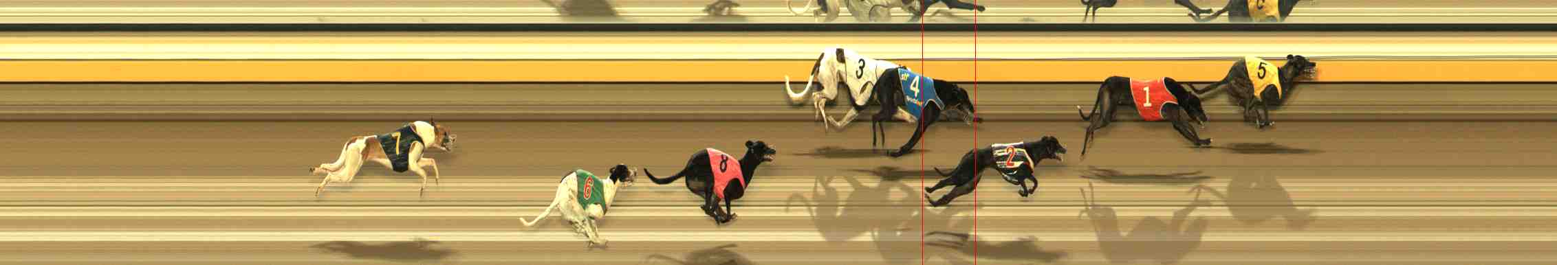 Photo finish for Warrnambool Race 11