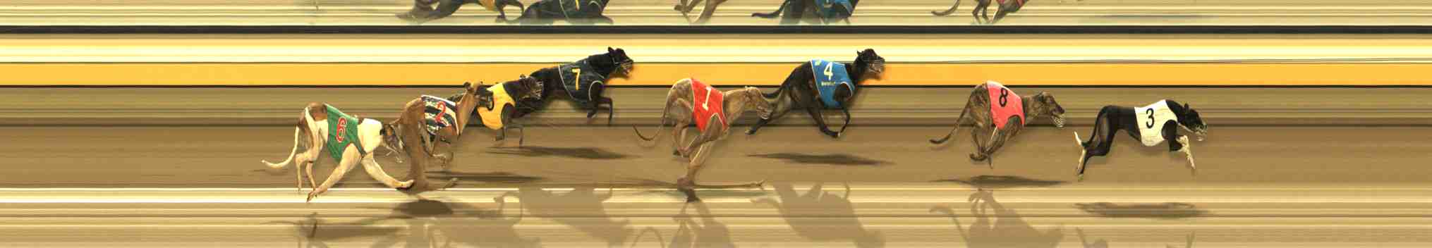 Photo finish for Warrnambool Race 12