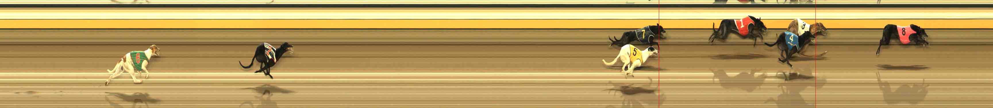 Photo finish for Warrnambool Race 13