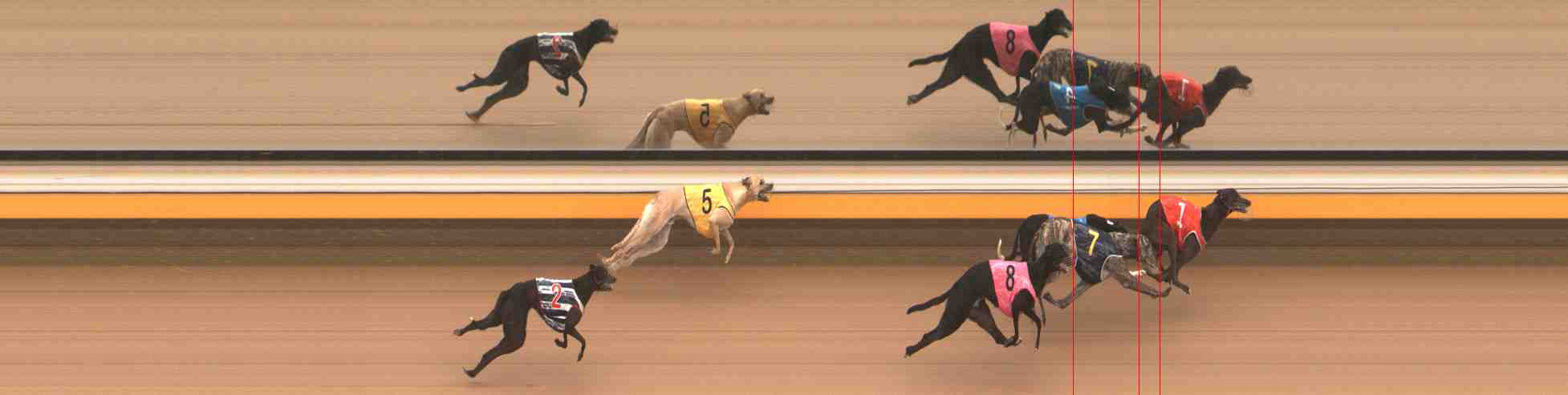 Photo finish for Warrnambool Race 1