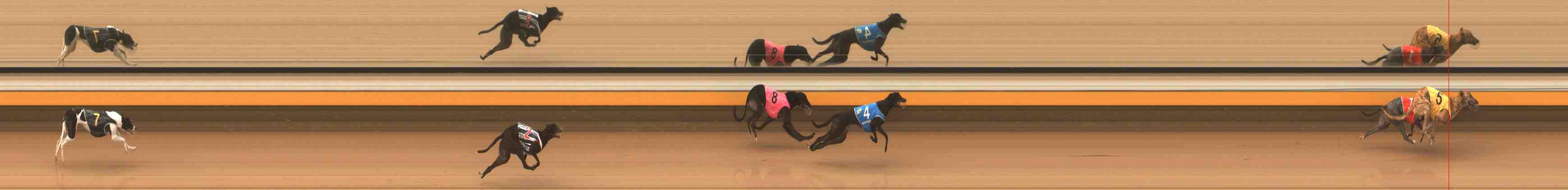 Photo finish for Warrnambool Race 2
