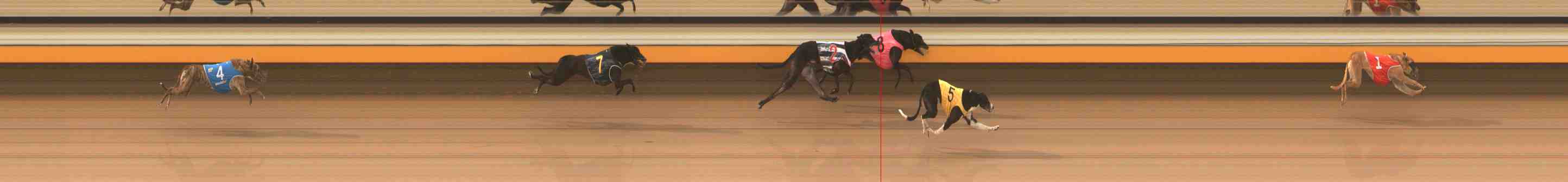 Photo finish for Warrnambool Race 3