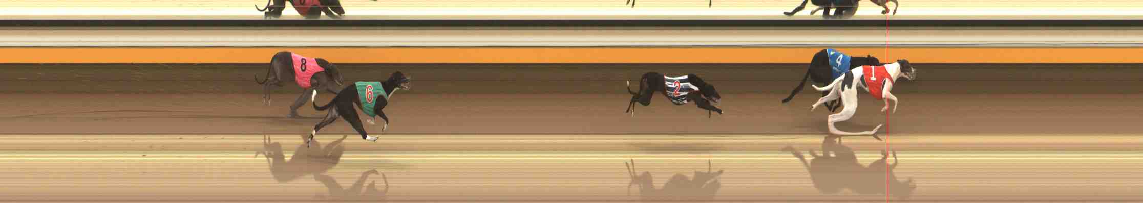 Photo finish for Warrnambool Race 4