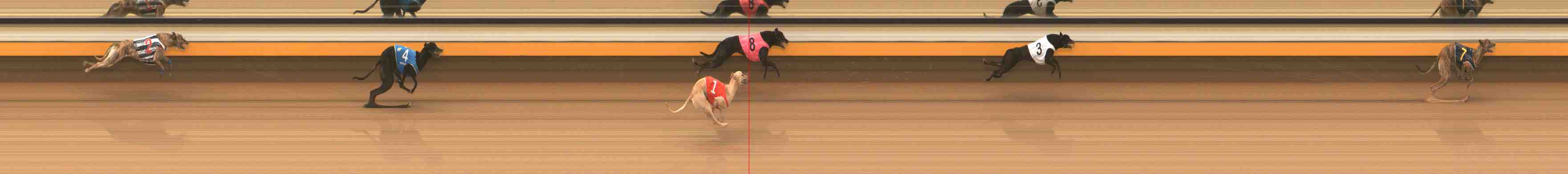 Photo finish for Warrnambool Race 5
