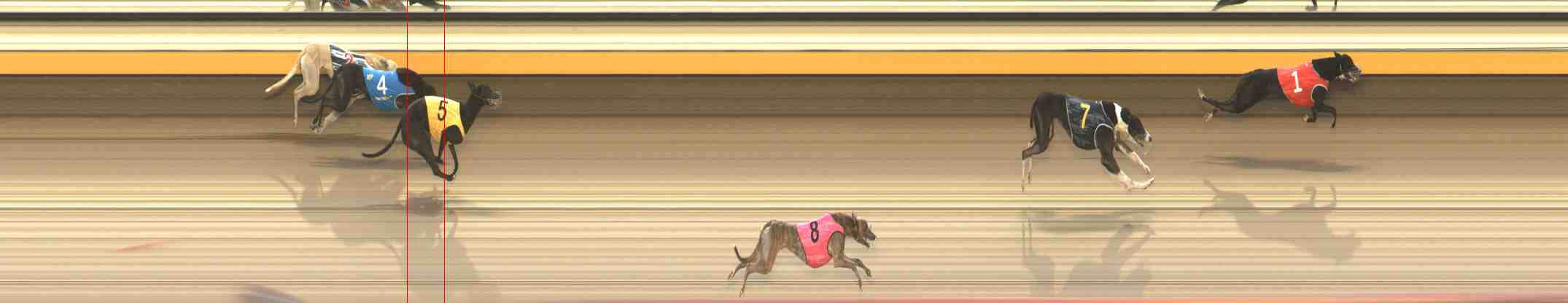 Photo finish for Warrnambool Race 6