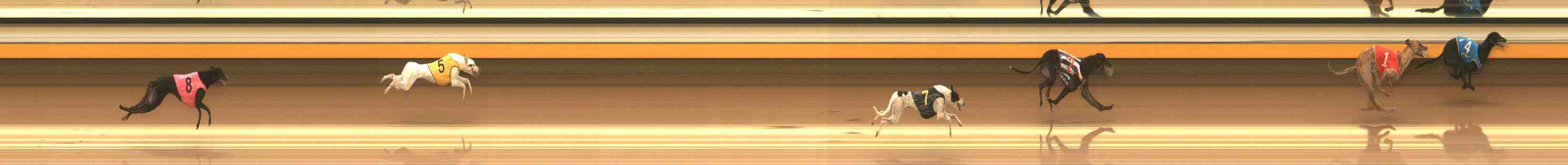 Photo finish for Warrnambool Race 7