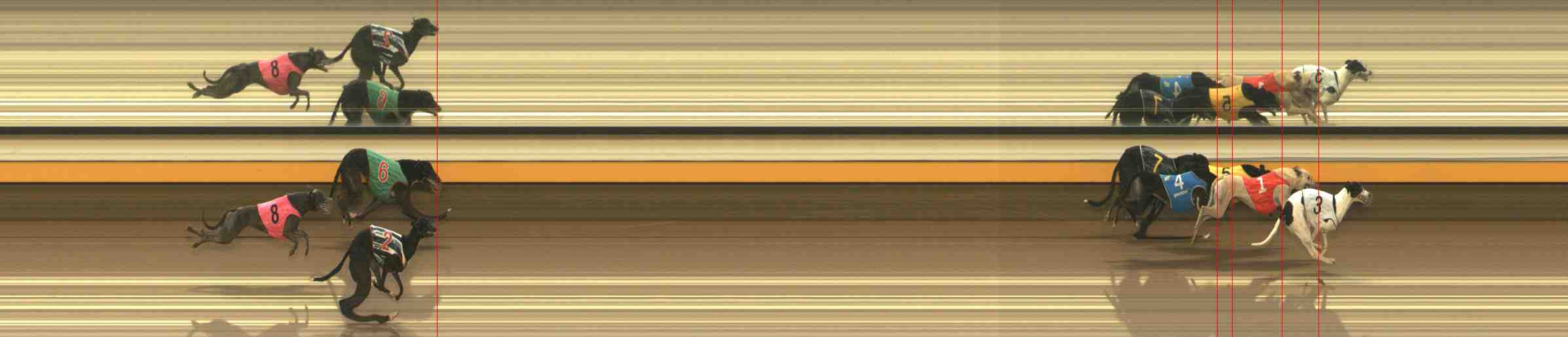 Photo finish for Warrnambool Race 8
