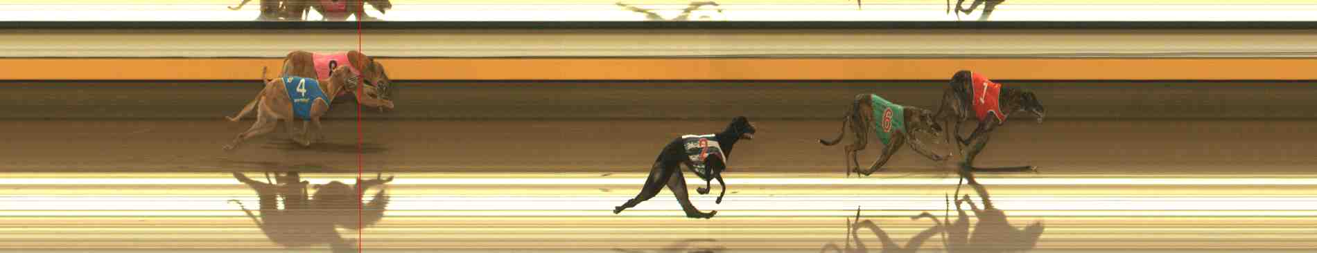 Photo finish for Warrnambool Race 9