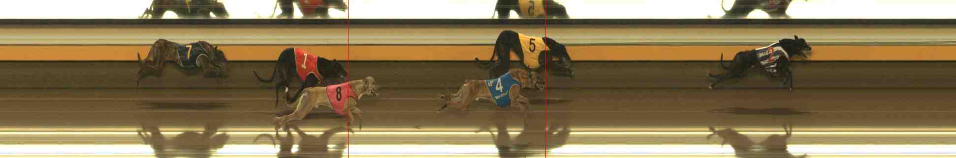 Photo finish for Warrnambool Race 10