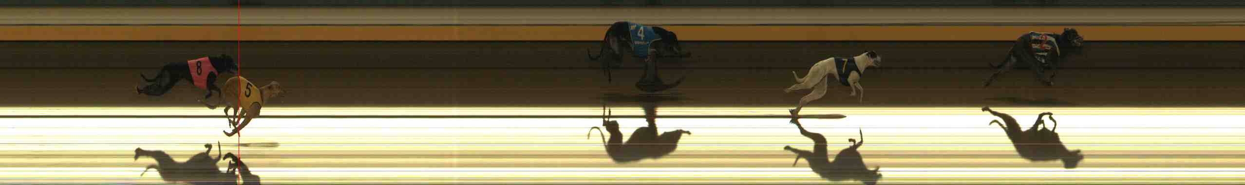 Photo finish for Warrnambool Race 11