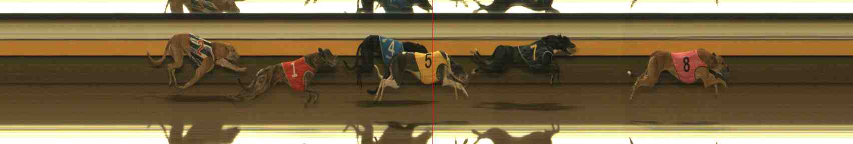 Photo finish for Warrnambool Race 12