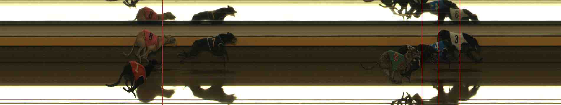 Photo finish for Warrnambool Race 13