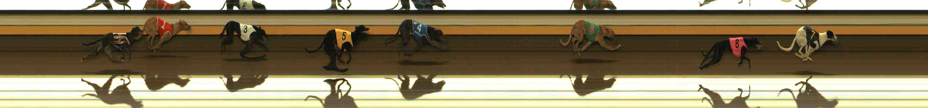Photo finish for Warrnambool Race 2