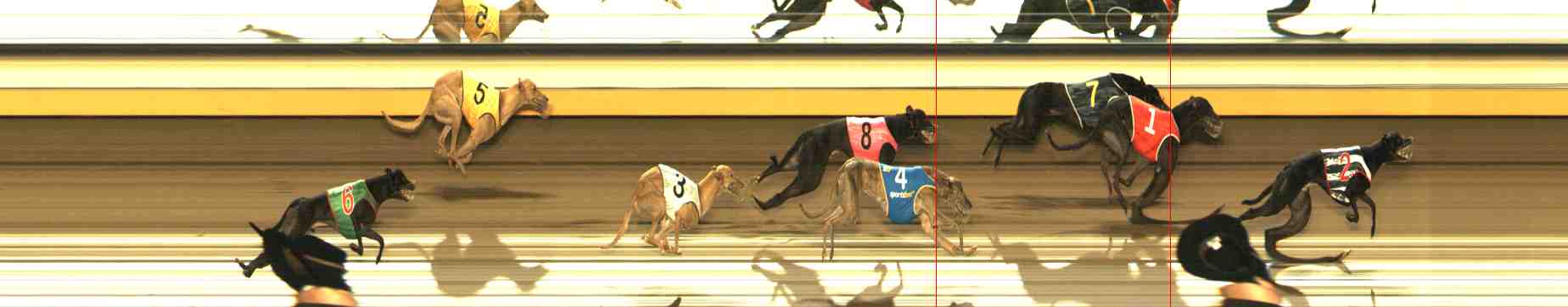 Photo finish for Warrnambool Race 4