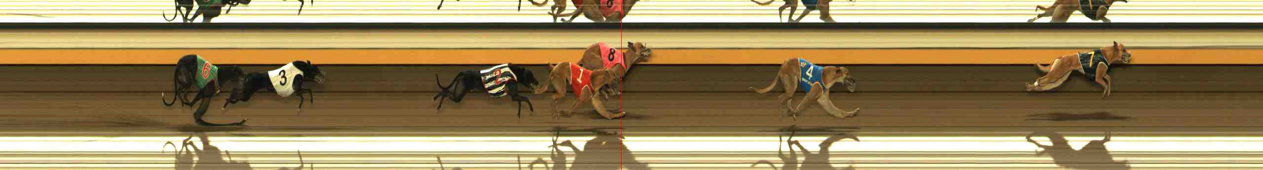 Photo finish for Warrnambool Race 5