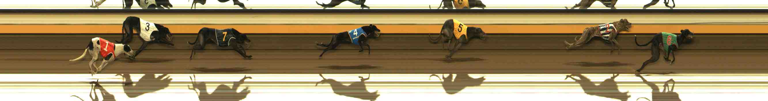 Photo finish for Warrnambool Race 6