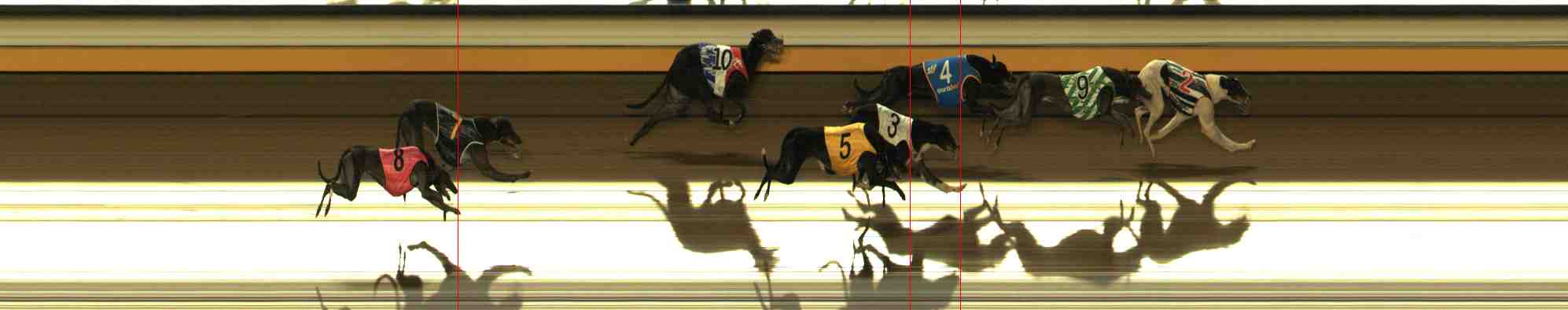 Photo finish for Warrnambool Race 7