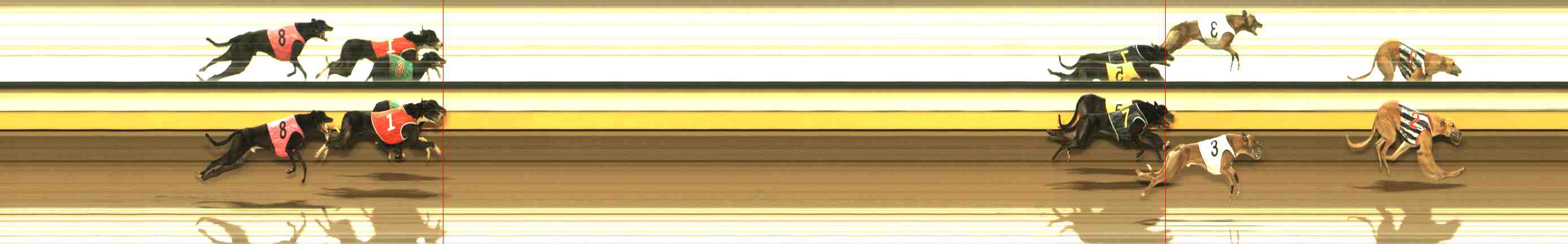 Photo finish for Warrnambool Race 8