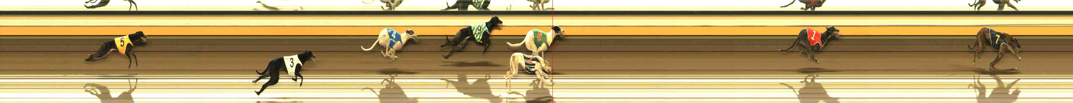 Photo finish for Warrnambool Race 9
