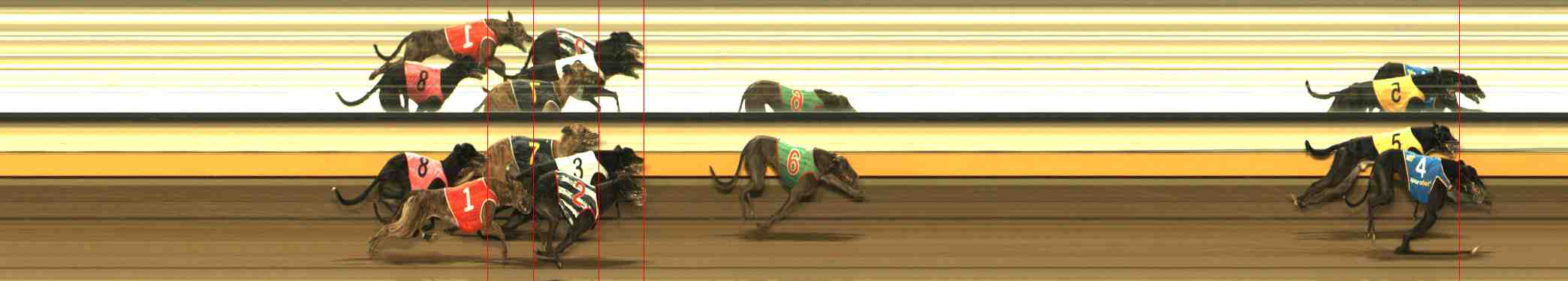 Photo finish for Warrnambool Race 10