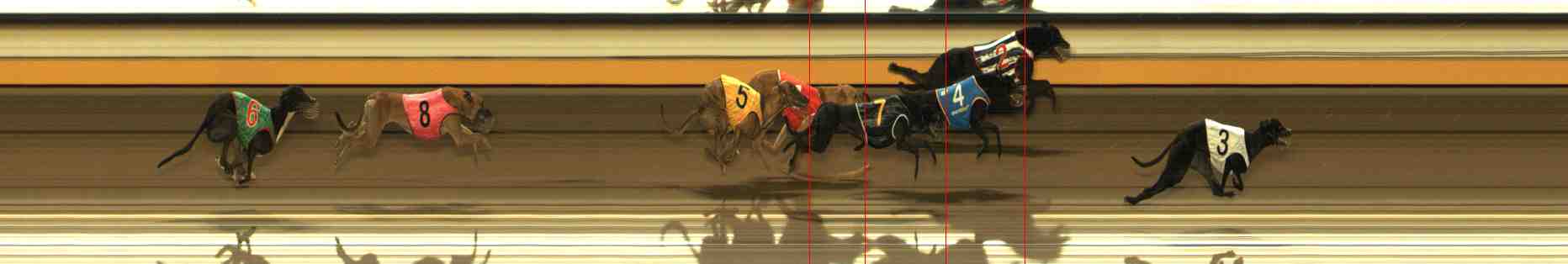 Photo finish for Warrnambool Race 11